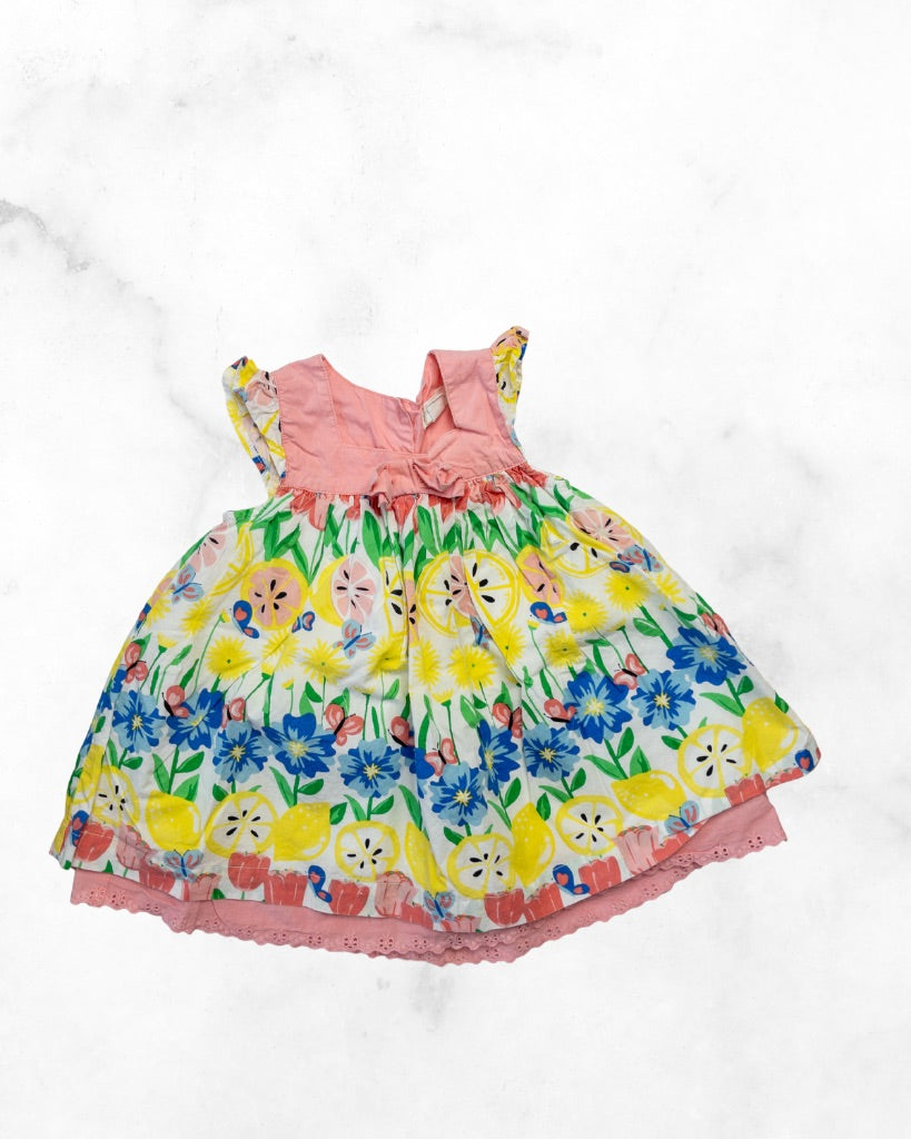 pumpkin patch ♡ 3-6 mo ♡ spring lemons& flowers dress
