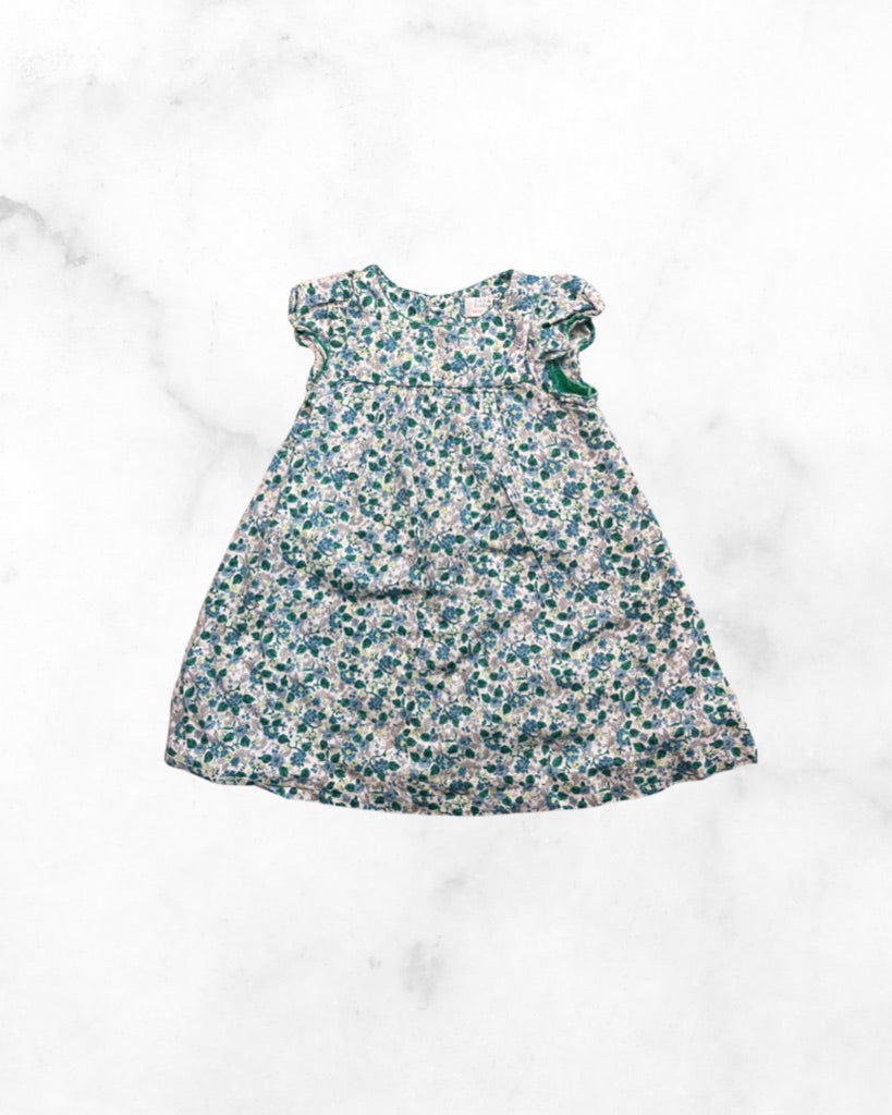 zara ♡ 24-36 mo ♡ green floral dress